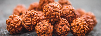 Rudraksha