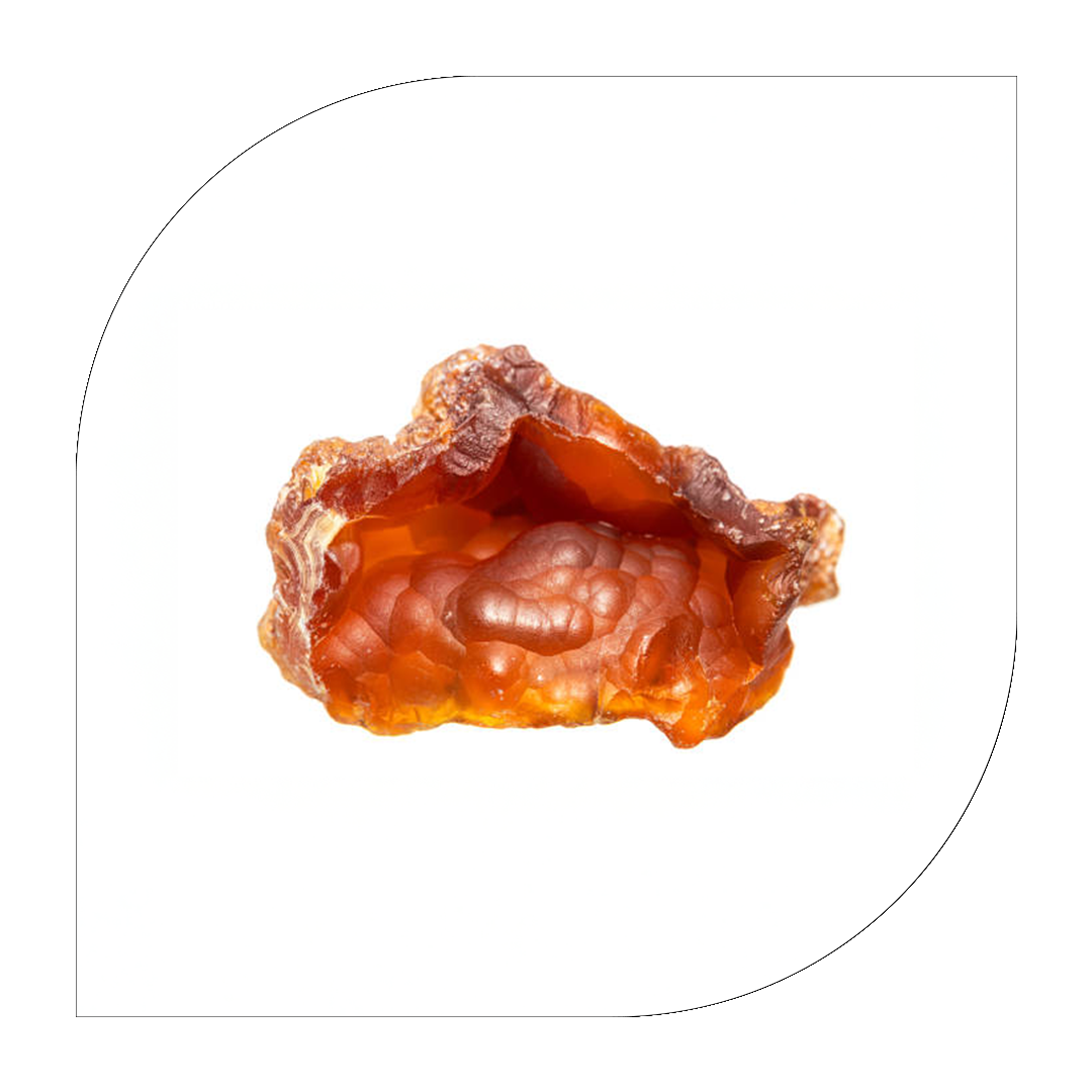 Red Jasper