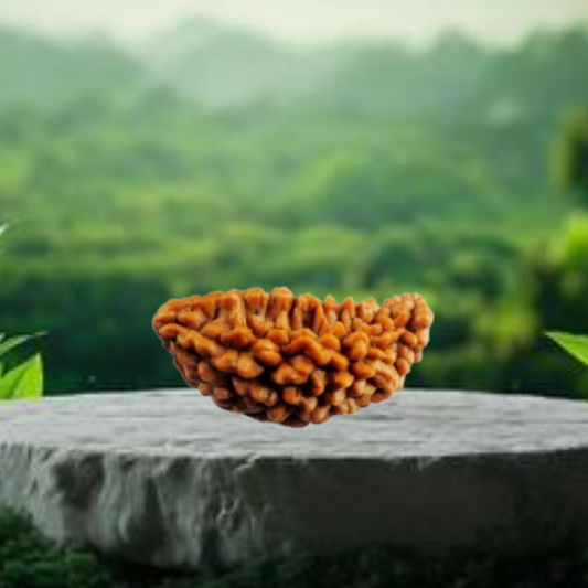 Ek Mukhi Rudraksha