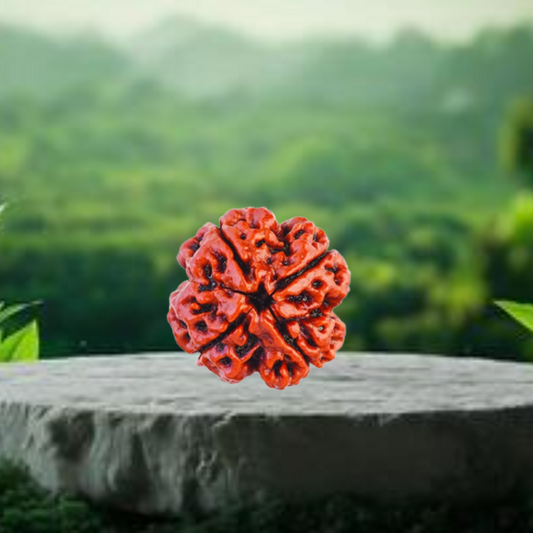 Nepal Origin 4 Mukhi Rudraksha