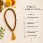 5MukhiRudrakshKanthaCertified1