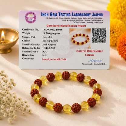 5_Mukhi_Rudraksha_Yellow_Aventurine_Bracelet_9b8defe2-af99-4767-9b5b-79927c5346af
