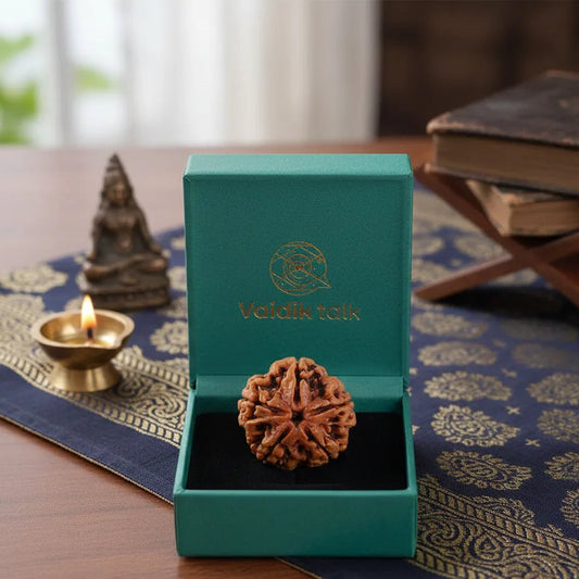 Nepal Origin 5 Mukhi Rudraksha