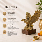 BrassMoneyEagle2