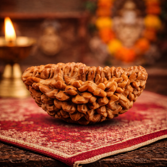 Ek Mukhi Rudraksha