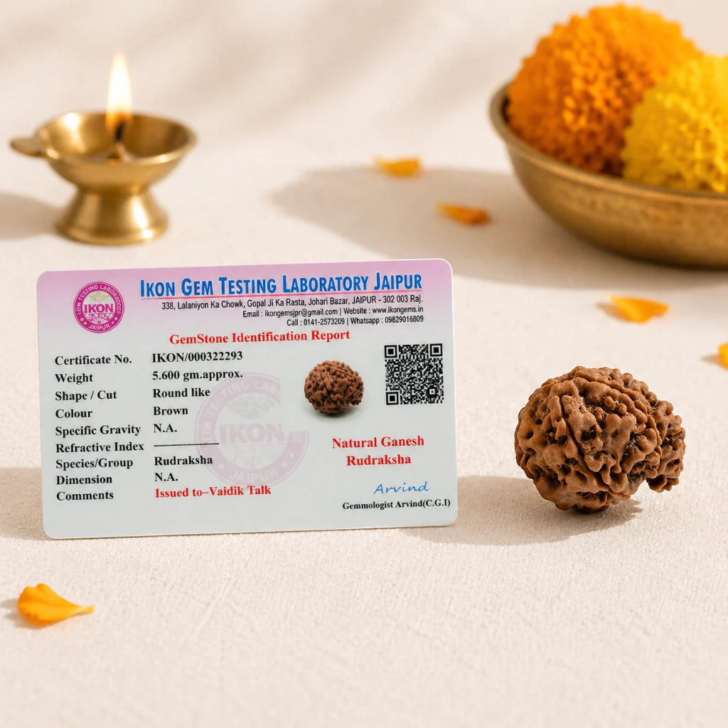 GaneshMukhiRudraksha1