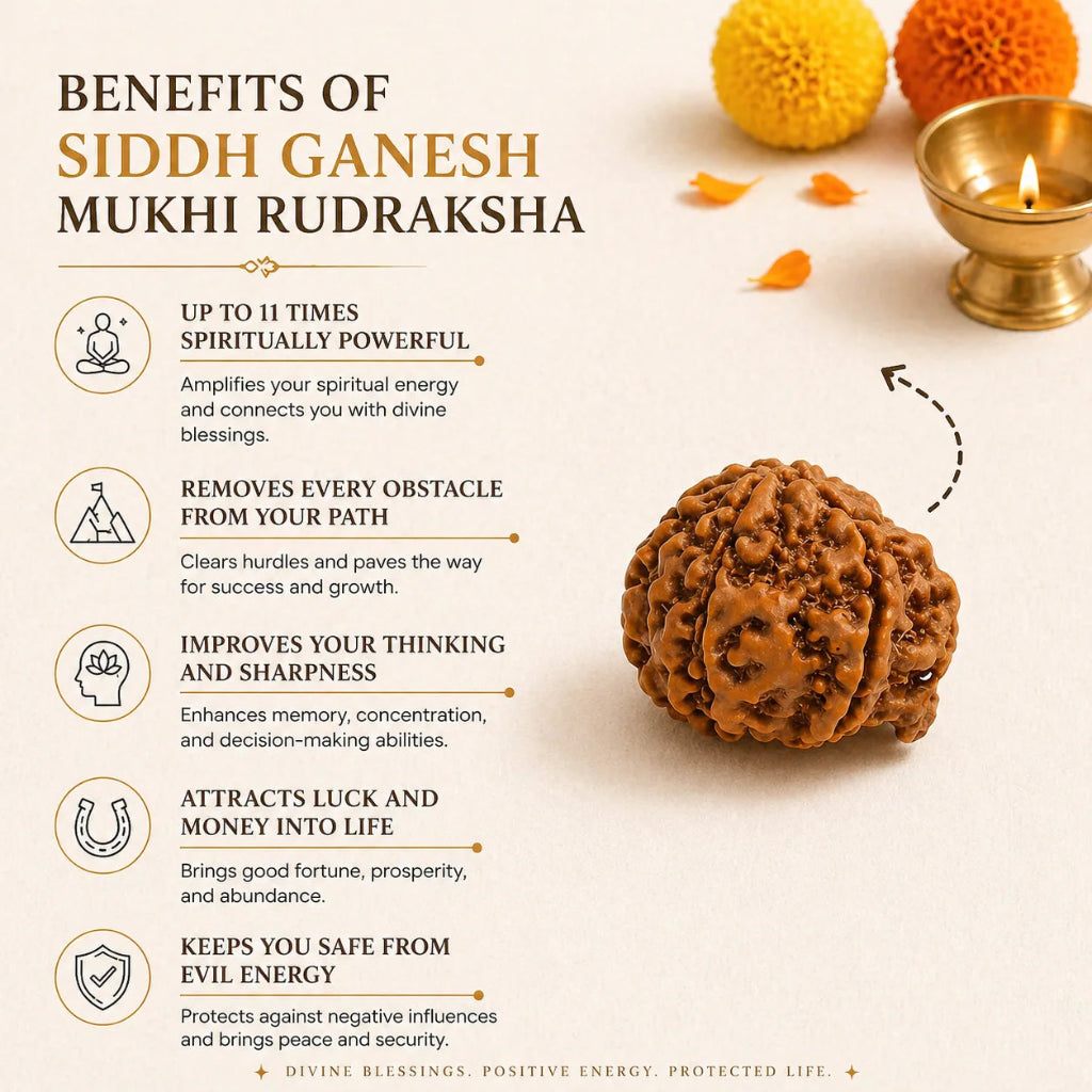 GaneshMukhiRudraksha3