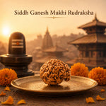 GaneshMukhiRudraksha_b7dbccc0-5f21-49b7-9930-c168b698ec77
