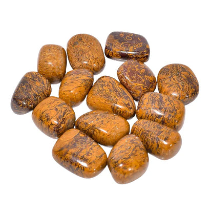 Sang-E-Mariyum Tumble
