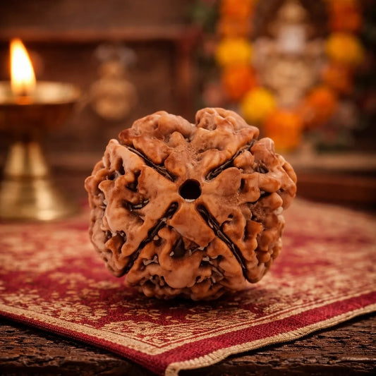 Nepal Origin 4 Mukhi Rudraksha