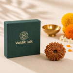 NepalOrigin13MukhiRudraksha2