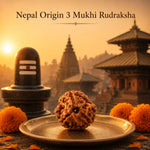 NepalOrigin3MukhiRudraksha_20ca1d02-622c-432b-a35a-e1f8494fcfe7