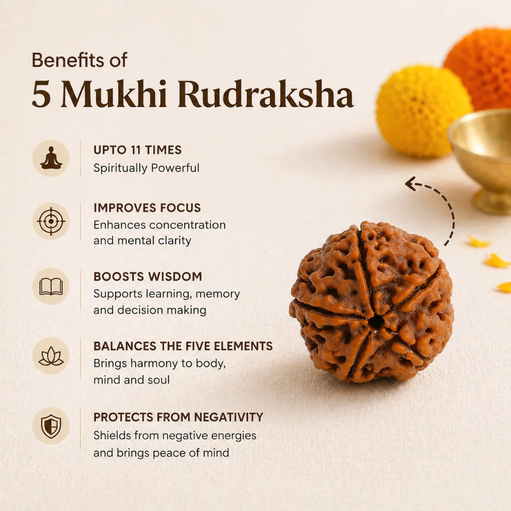 NepalOrigin5MukhiRudraksha1