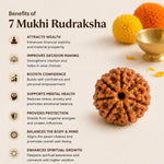 NepalOrigin7MukhiRudraksha1