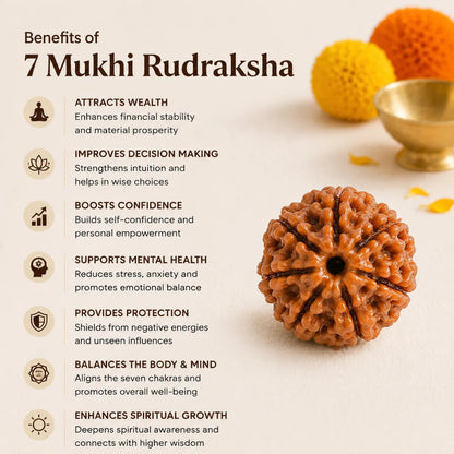NepalOrigin7MukhiRudraksha1