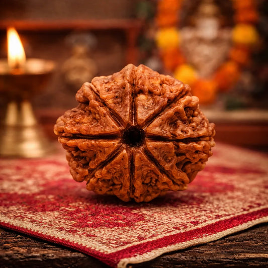 Nepal Origin 8 Mukhi Rudraksha
