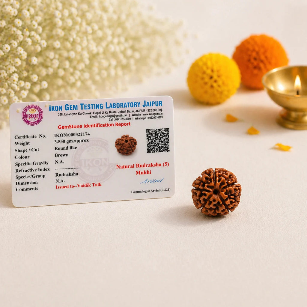 Nepal_Origin_5_Mukhi_Rudraksha_3