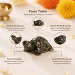 VastuPyriteTortoise_Kachhua_1