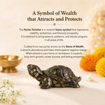 VastuPyriteTortoise_Kachhua_2