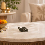VastuPyriteTortoise_Kachhua_6