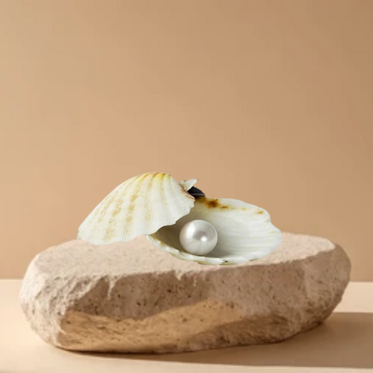 7 Ratti South Sea Pearl (Moti)