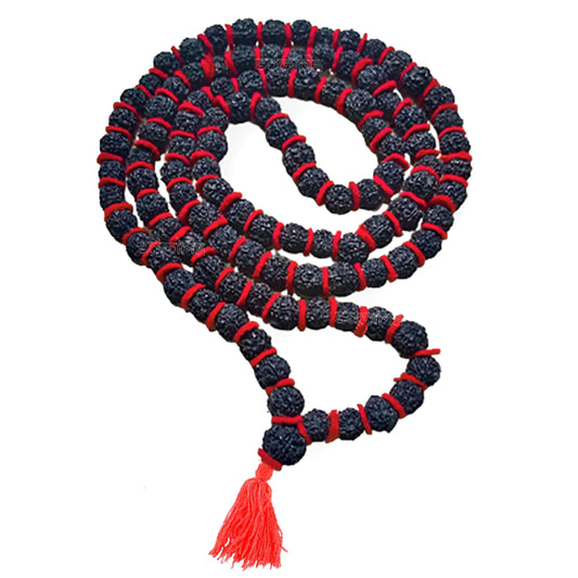 5 mukhi Rudraksh Kantha Mala Certified