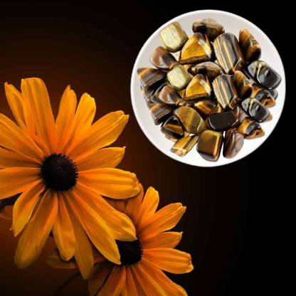 Tiger Eye Tumble