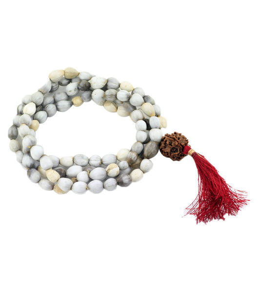 Vaijanti Mala With Rudraksha