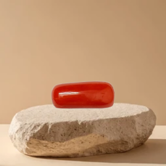 11 Ratti Cylindrical Red Coral (Moonga)